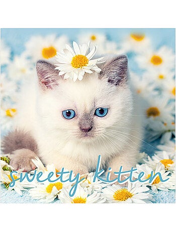 Lot de 20 serviettes papier sweety cat