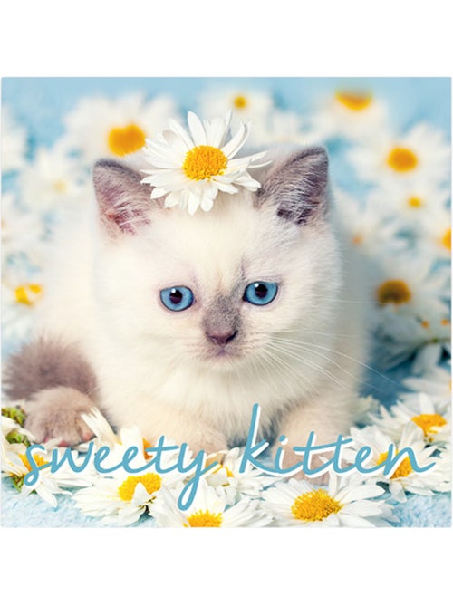 Lot de 20 serviettes papier sweety cat - Kiabi