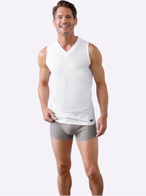 Lot de 3  - Boxer Côtes Fines - Taille Standard - Witt - Kiabi