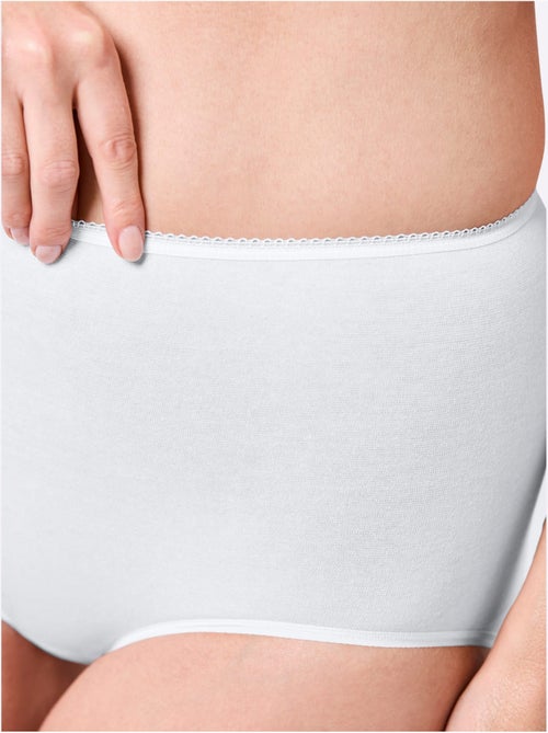 Lot de 3  - Culotte Taille Haute Jersey Fin - Taille Standard - Witt - Kiabi