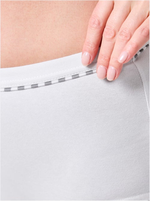 Lot de 3 - Culotte Taille Haute Jersey Fin - Taille Standard - Witt - Kiabi Lot de 3 - Culotte Taille Haute Jersey Fin - Taille Standard - Witt - Kiabi