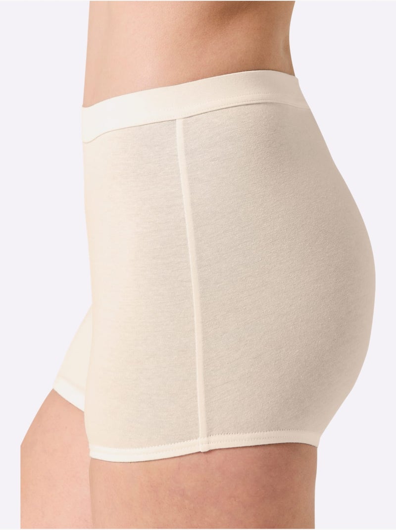 Lot de 3  - Panty Jersey Fin - Taille Standard - Witt Marron clair - Kiabi