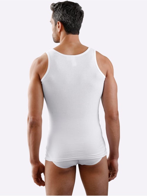 Lot de 3 - slip côtes fines - taille standard - witt - Kiabi Lot de 3 - slip côtes fines - taille standard - witt - Kiabi