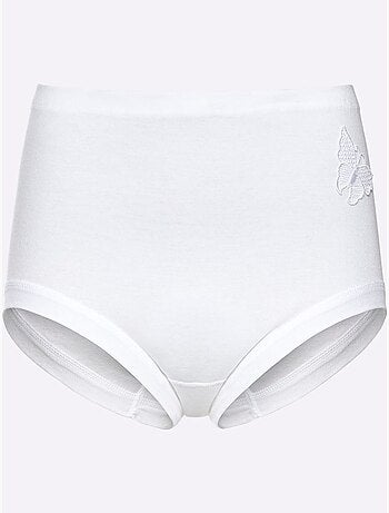Lot de 3 - Slip Taille Haute Côtes Fines - Taille Standard - Witt