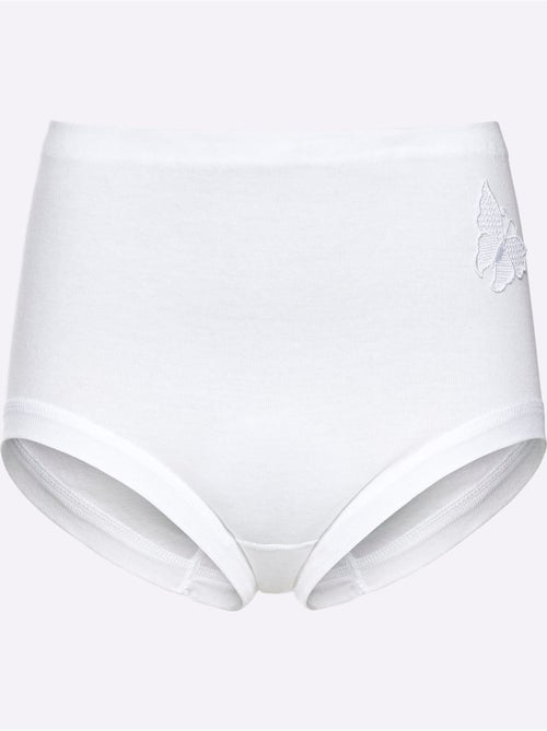 Lot de 3  - Slip Taille Haute Côtes Fines - Taille Standard - Witt - Kiabi