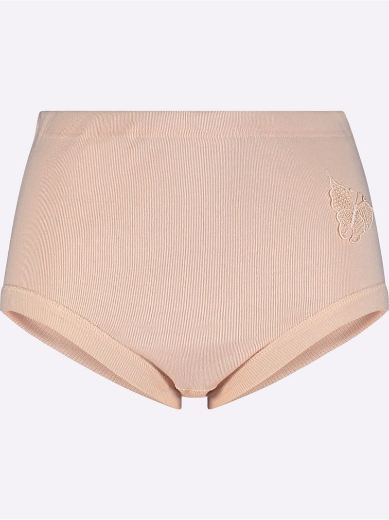 Lot de 3  - Slip Taille Haute Côtes Fines - Taille Standard - Witt Poudre - Kiabi