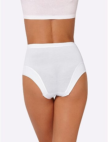 Lot de 3 - Slip Taille Haute Jersey Fin - Taille Standard - Witt