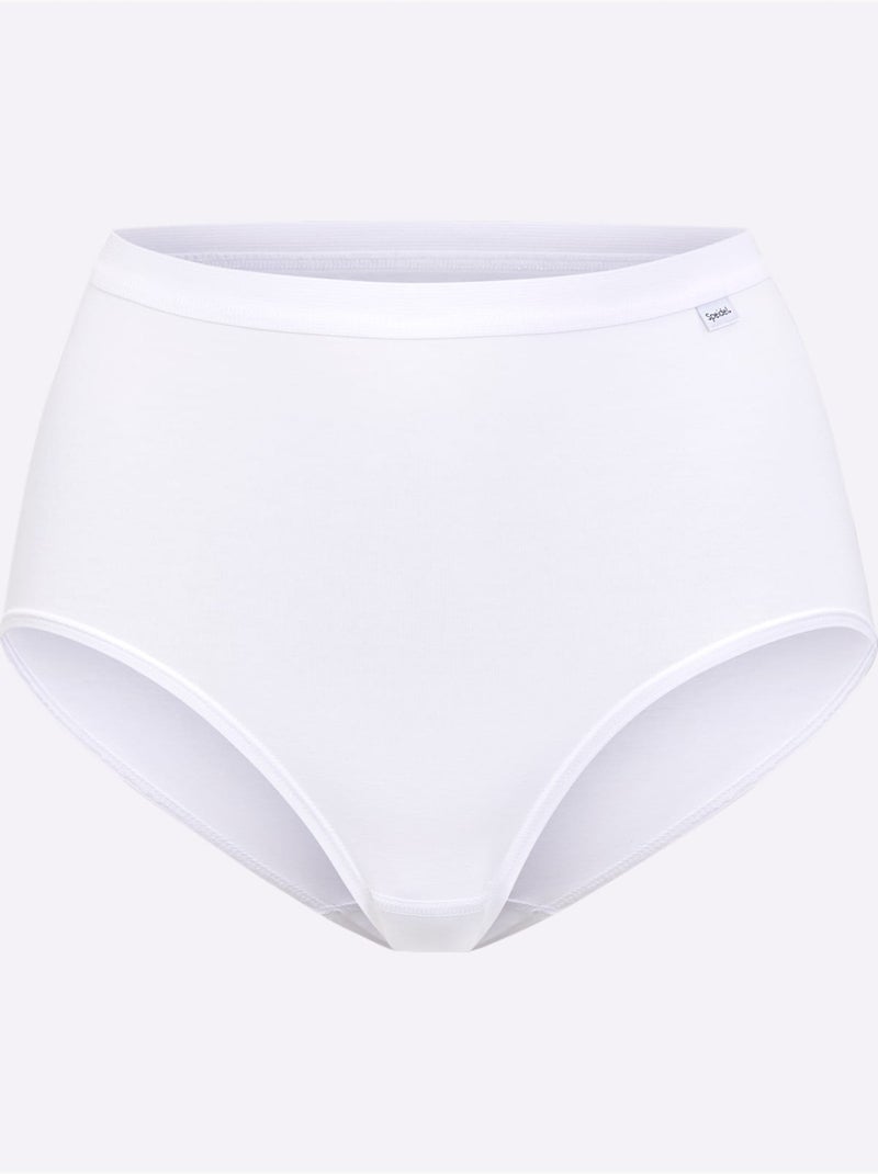 Lot de 3  - Slip Taille Haute Jersey Fin - Taille Standard - Witt Blanc - Kiabi