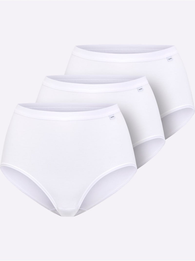 Lot de 3  - Slip Taille Haute Jersey Fin - Taille Standard - Witt Blanc - Kiabi