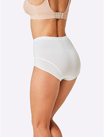 Lot de 3 - Slip Taille Haute Jersey Fin - Taille Standard - Witt