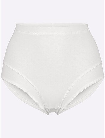 Lot de 3 - Slip Taille Haute Jersey Fin - Taille Standard - Witt