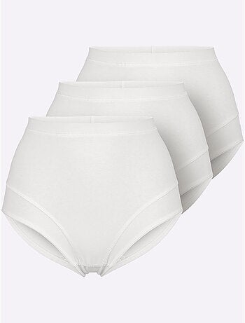 Lot de 3 - Slip Taille Haute Jersey Fin - Taille Standard - Witt