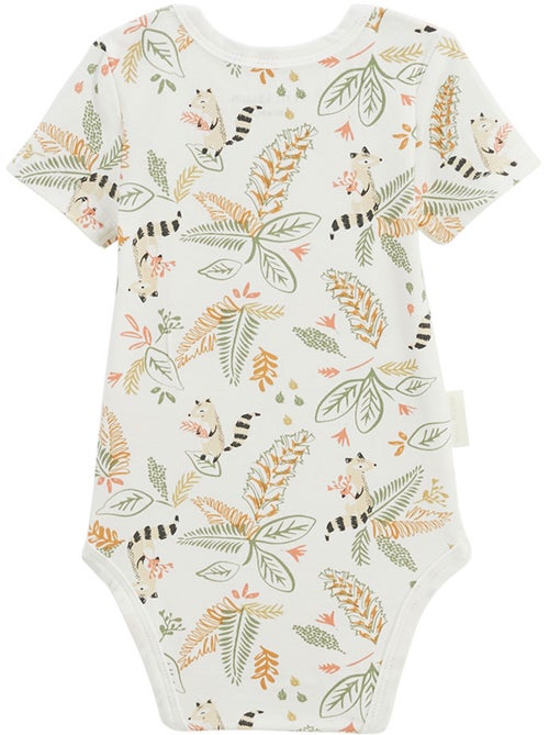 Lot de 3 bodies bébé manches courtes Gabin - Kiabi