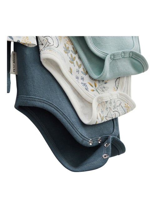 Lot de 3 bodies bébé manches longues Cacahuète - Kiabi