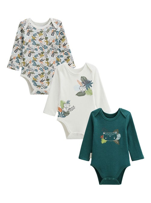 Lot de 3 bodies bébé manches longues Canopée - Kiabi