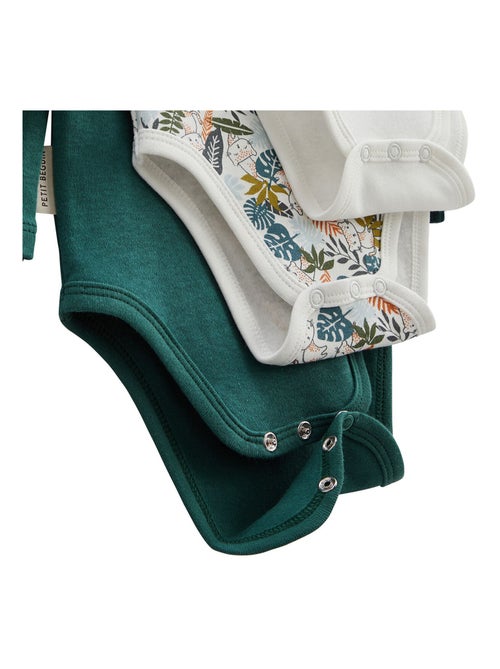 Lot de 3 bodies bébé manches longues Canopée - Kiabi