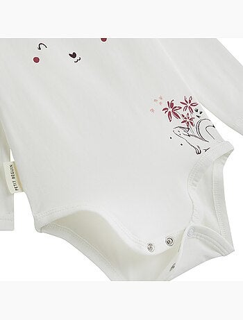 Lot de 3 bodies bébé manches longues misti