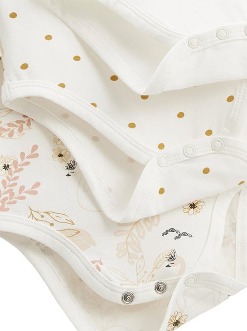 Lot de 3 bodies bébé manches longues Misty - Kiabi