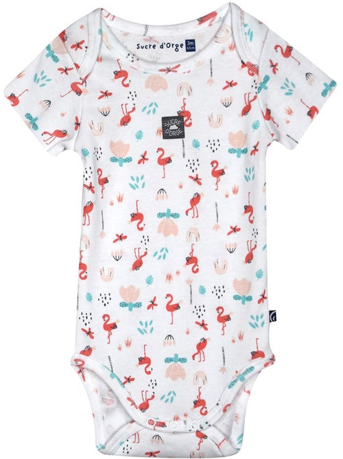 LOT DE 3 BODIES NORDINE MANCHES COURTES BEBE - Kiabi