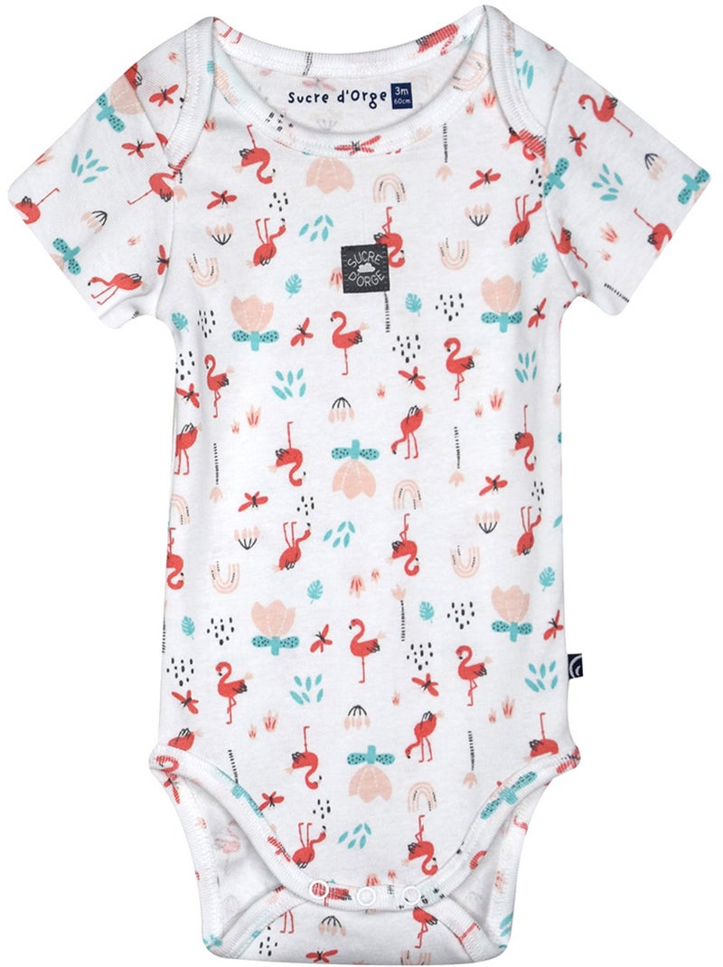 LOT DE 3 BODIES NORDINE MANCHES COURTES BEBE Rose - Kiabi