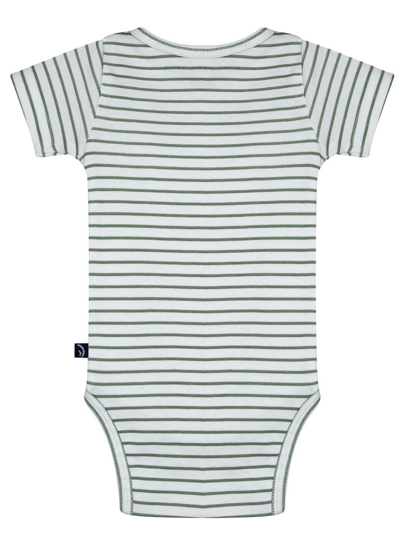 LOT DE 3 BODIES OMAR MANCHES COURTES Vert - Kiabi