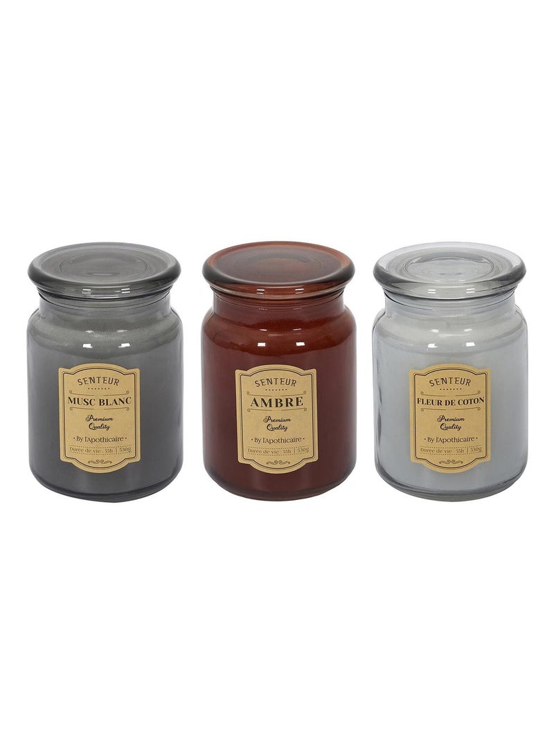 Lot de 3 bougies parfumées Apothicaire Multicolore - Kiabi