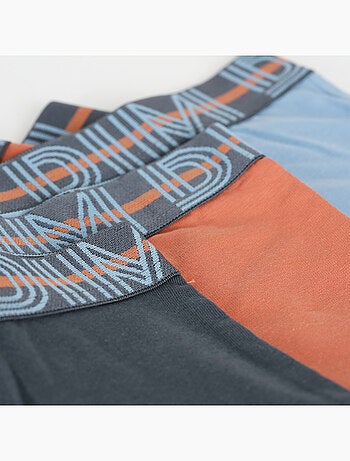 Lot de 3 Boxers Coton Dim Ecodim