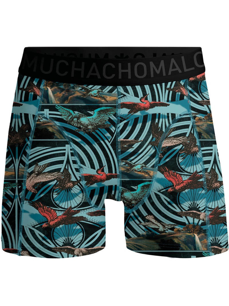 Lot de 3 boxers garçon Muchachomalo Bleu Vert - Kiabi