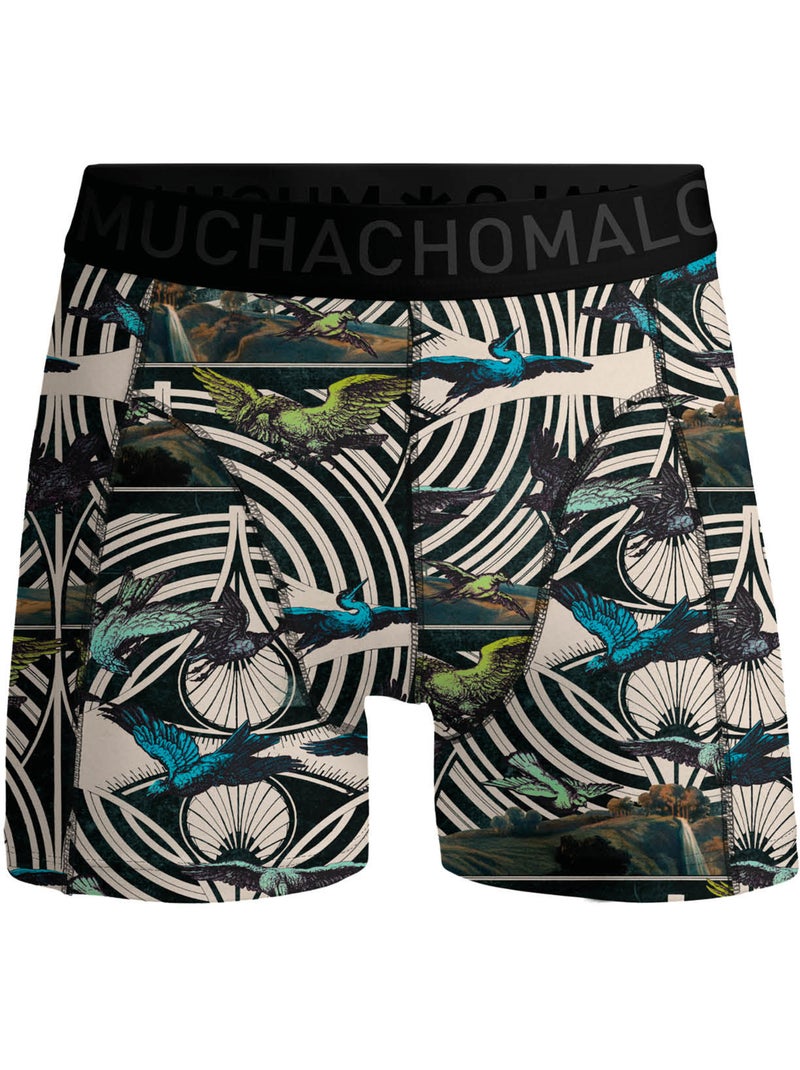 Lot de 3 boxers garçon Muchachomalo Noir / Bleu / Vert - Kiabi