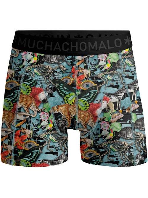 Lot de 3 boxers garçon Muchachomalo - Kiabi