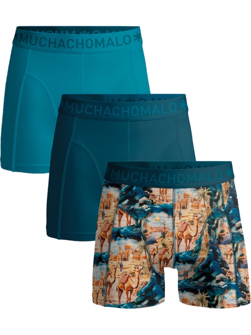 Lot de 3 boxers homme Muchachomalo - Kiabi Lot de 3 boxers homme Muchachomalo - Kiabi
