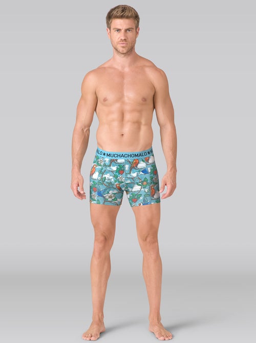 Lot de 3 boxers homme Muchachomalo - Kiabi
