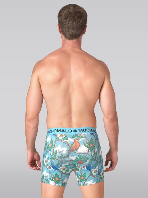 Lot de 3 boxers homme Muchachomalo - Kiabi