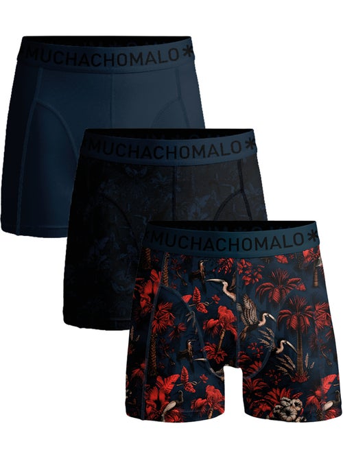 Lot de 3 boxers homme Muchachomalo - Kiabi
