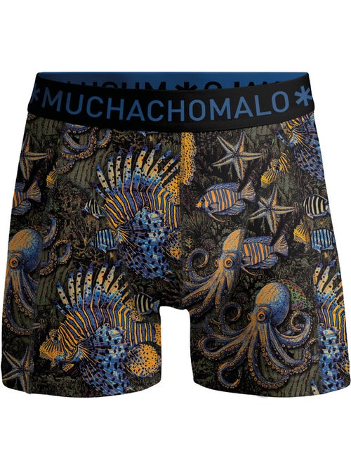 Lot de 3 boxers homme Muchachomalo - Kiabi Lot de 3 boxers homme Muchachomalo - Kiabi