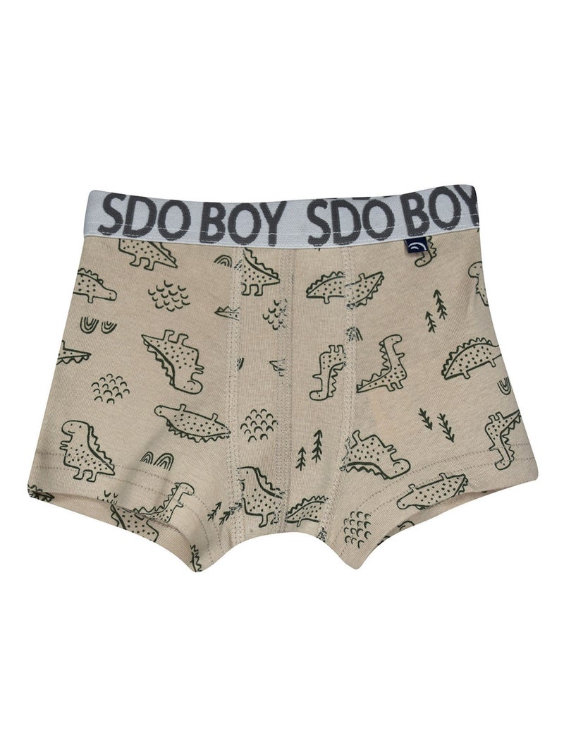 Lot de 3 boxers Pancrace Blanc - Kiabi