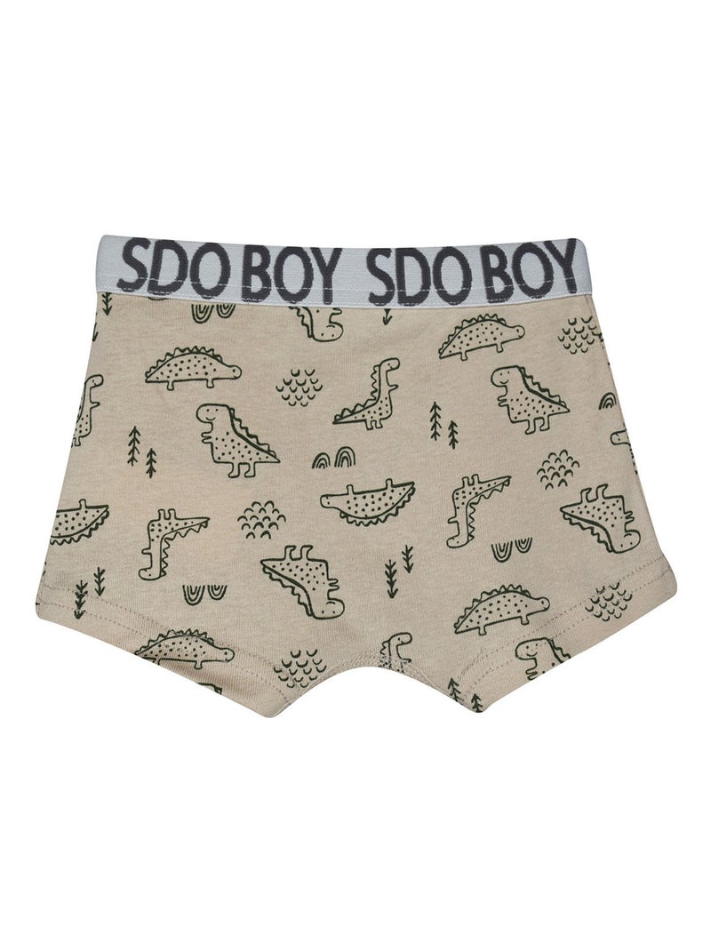 Lot de 3 boxers Pancrace Blanc - Kiabi
