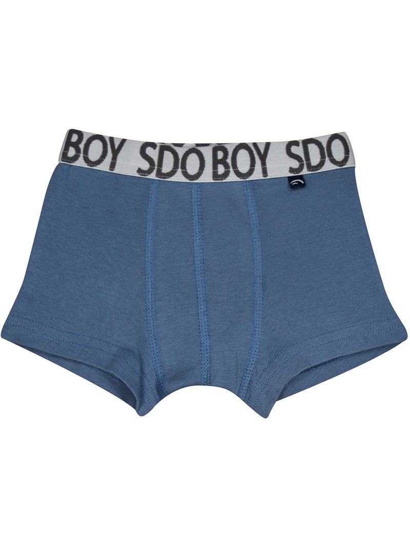 Lot de 3 boxers Pompeo Bleu - Kiabi