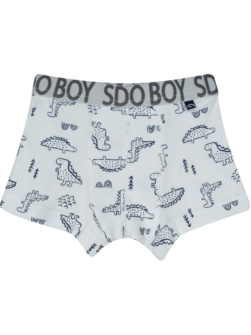 Lot de 3 boxers Pompeo Bleu - Kiabi