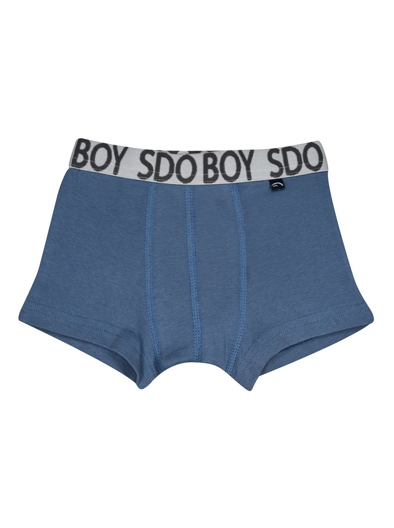 Lot de 3 boxers Pompeo Bleu marine/Gris froid - Kiabi