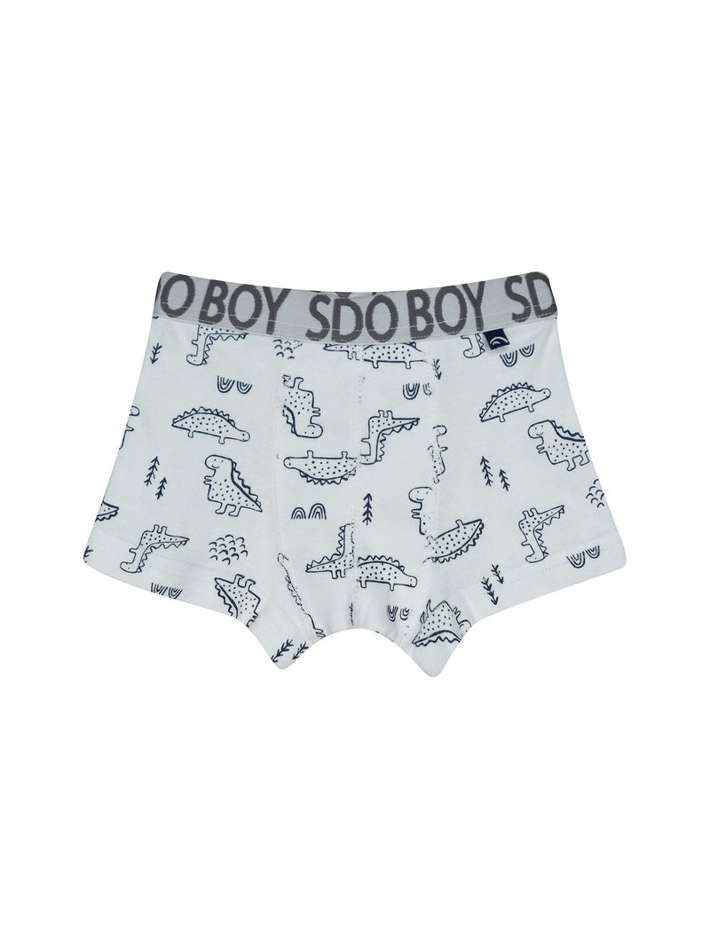 Lot de 3 boxers Pompeo Bleu marine/Gris froid - Kiabi