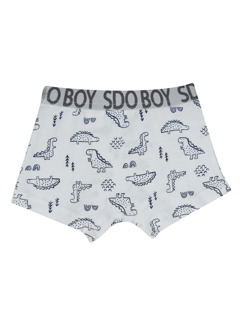 Lot de 3 boxers Pompeo Bleu marine/Gris froid - Kiabi