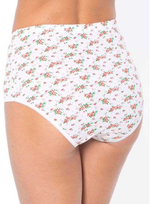 Lot de 3 culottes imprimées + 1 gratuite - DAXON - Kiabi