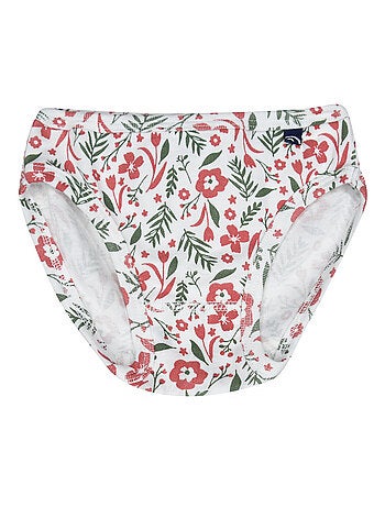 Lot de 3 culottes providencia