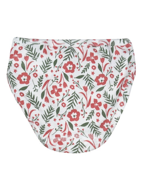 Lot de 3 culottes providencia - Kiabi