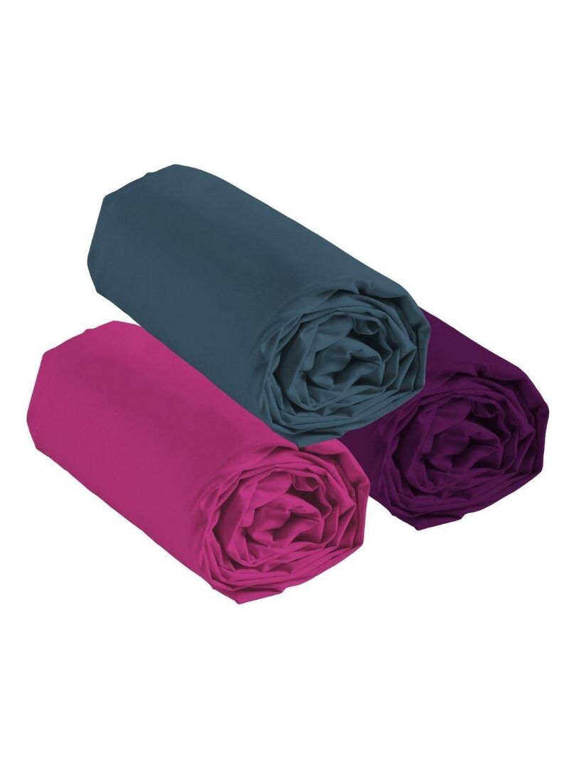 Draps Jumeaux Westbury Manor – Lot De 3 – 100% Coton Peigné 400 Fils – Neuf