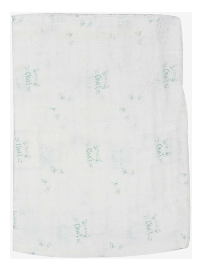 Lot De 3 Gants De Toilette Vert - Kiabi