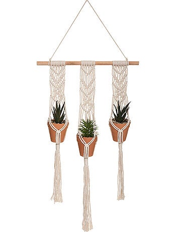 Lot de 3 plantes suspendues HACIENDA