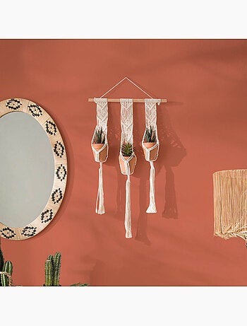 Lot de 3 plantes suspendues HACIENDA