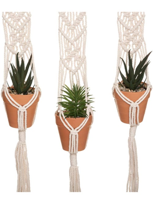 Lot de 3 plantes suspendues HACIENDA - Kiabi